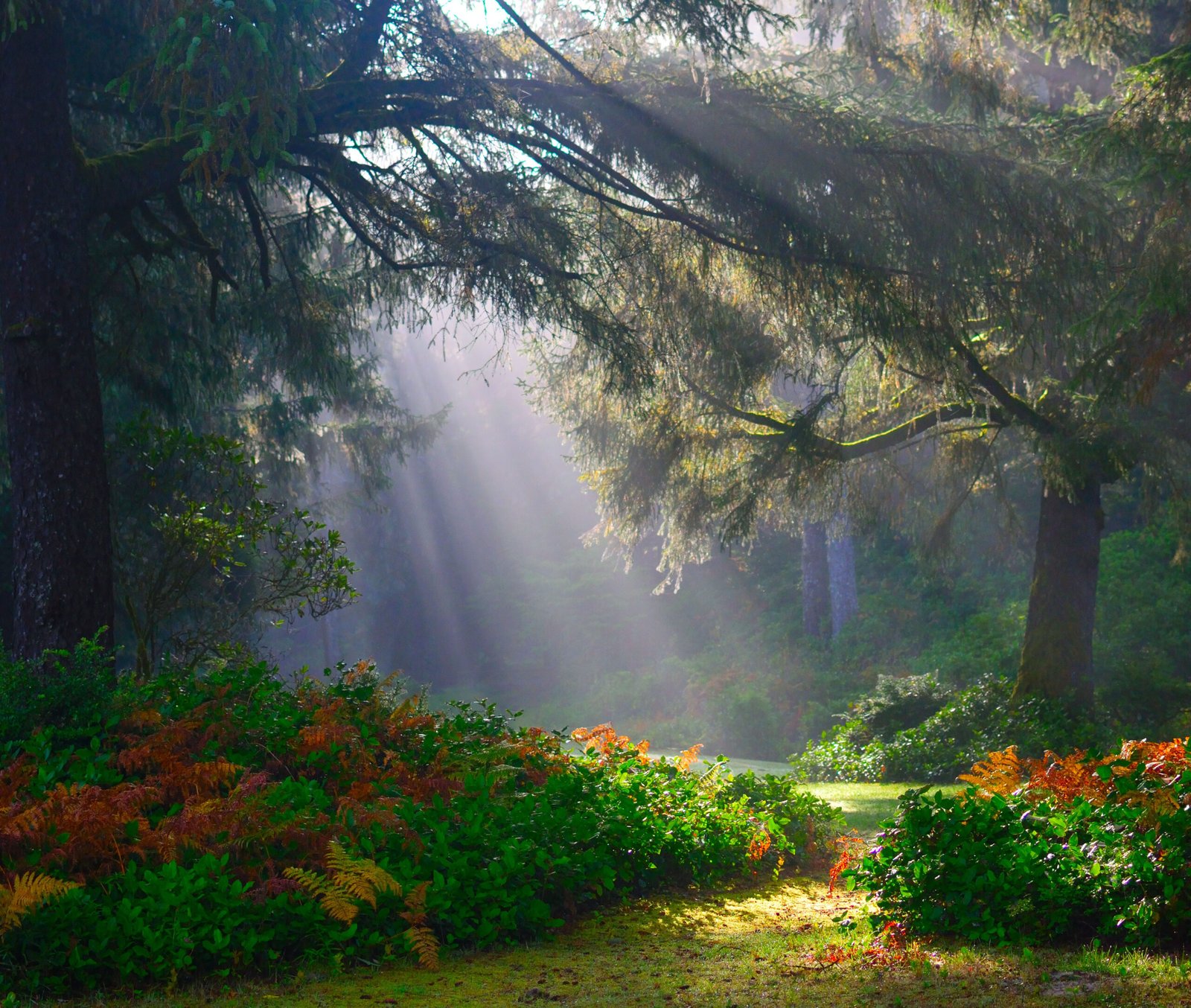 Presenting Oneself to Jesus with no Pretensions